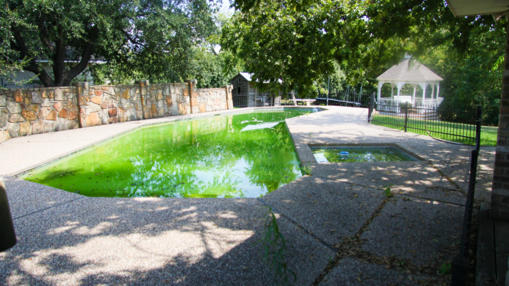 Why Pools Turn Green Faster in Summer